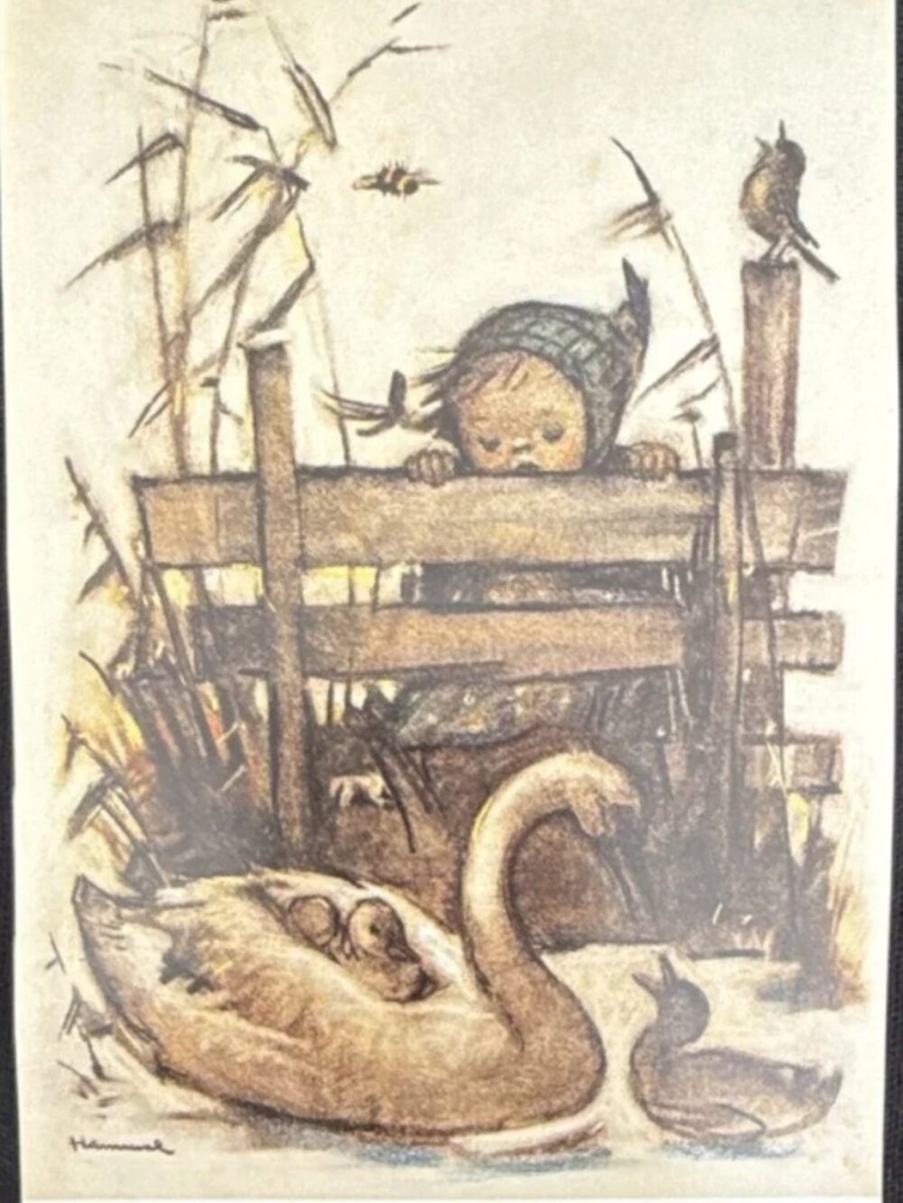 Children Schwanenmutter Feathered Friends